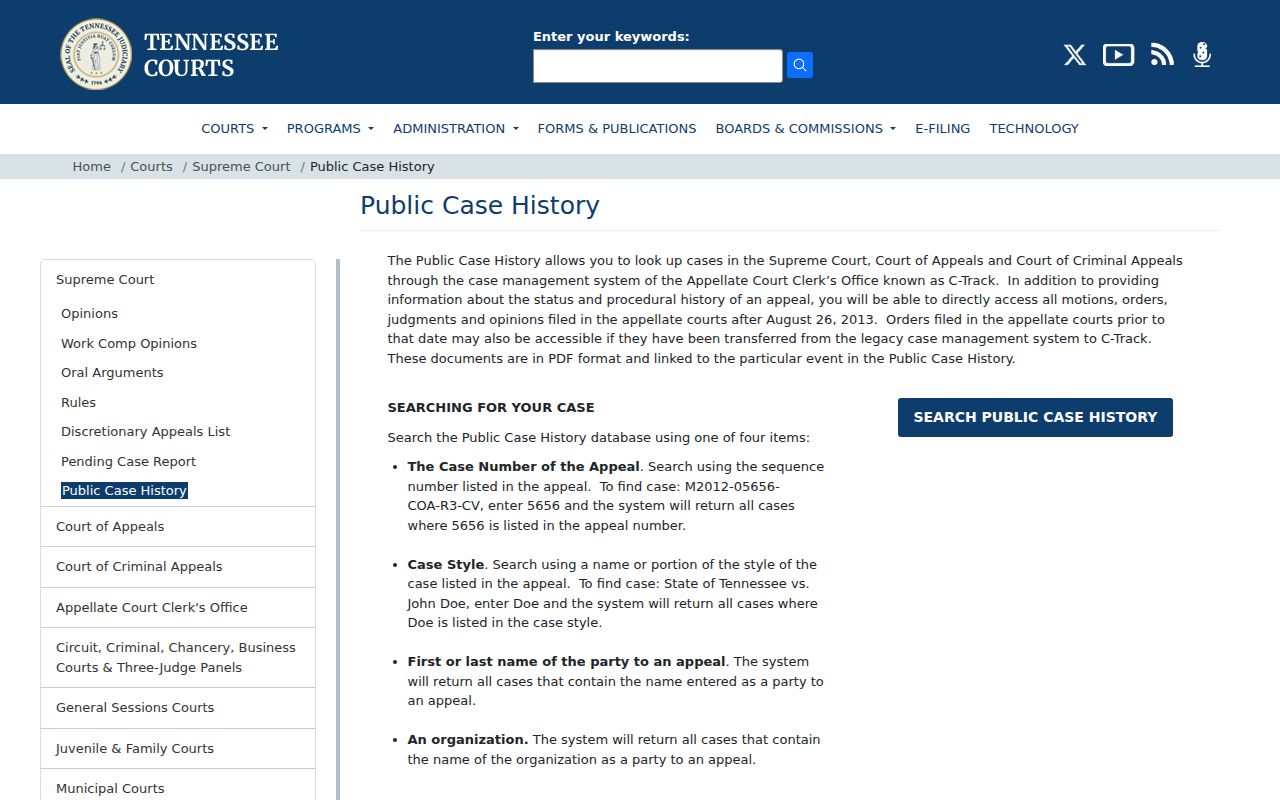 Henderson County case search and Tennessee Public Case History scope